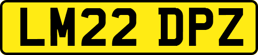 LM22DPZ
