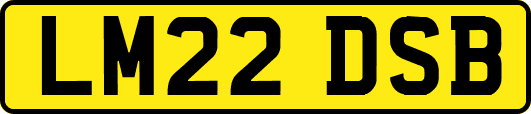 LM22DSB