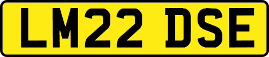 LM22DSE