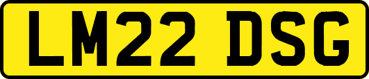 LM22DSG