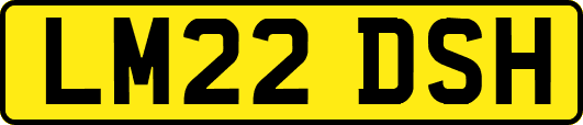 LM22DSH