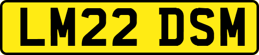 LM22DSM