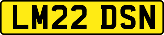 LM22DSN