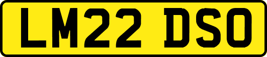 LM22DSO