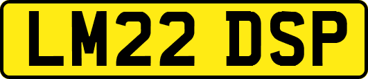LM22DSP