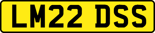 LM22DSS