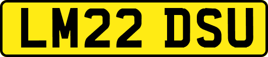 LM22DSU