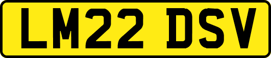 LM22DSV