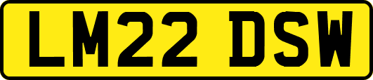 LM22DSW