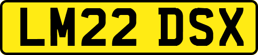 LM22DSX