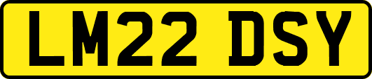 LM22DSY