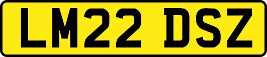 LM22DSZ