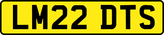 LM22DTS