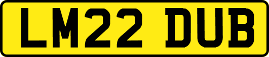 LM22DUB