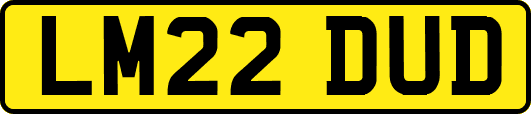 LM22DUD