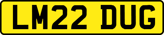 LM22DUG