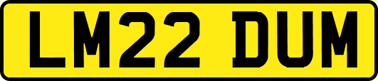 LM22DUM