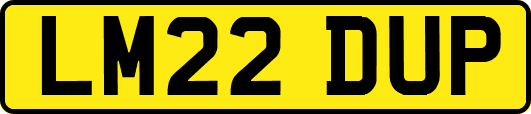 LM22DUP