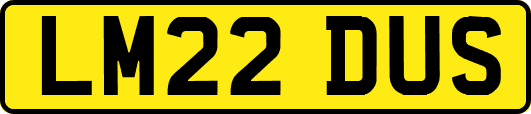 LM22DUS