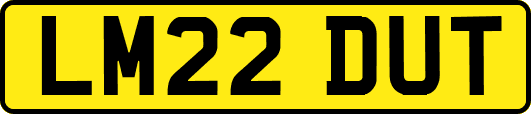LM22DUT