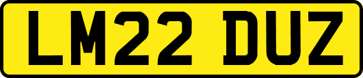 LM22DUZ