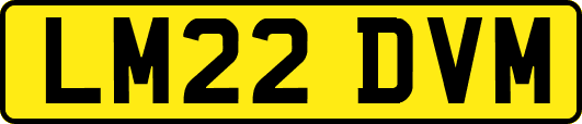 LM22DVM