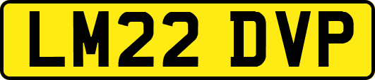 LM22DVP