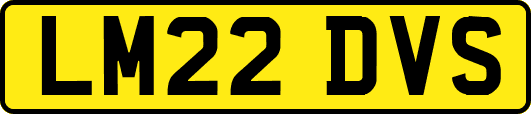 LM22DVS