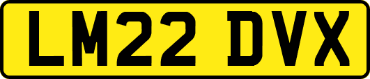 LM22DVX