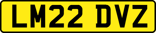 LM22DVZ
