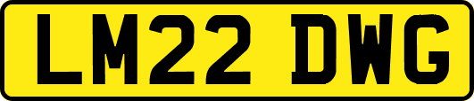 LM22DWG