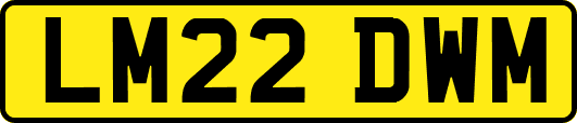LM22DWM