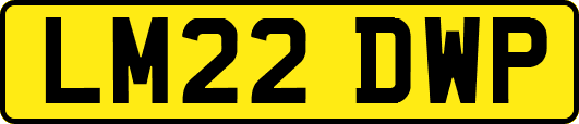 LM22DWP