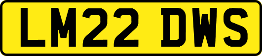 LM22DWS