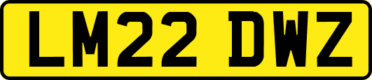 LM22DWZ