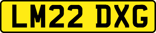 LM22DXG
