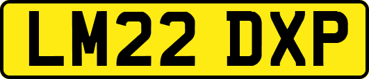 LM22DXP