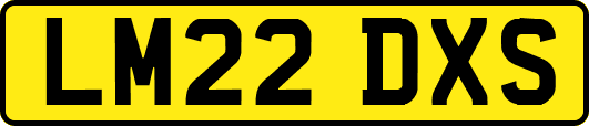 LM22DXS