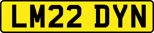 LM22DYN