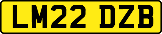 LM22DZB