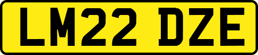 LM22DZE