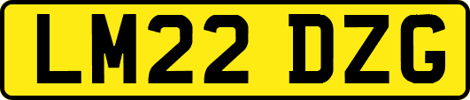 LM22DZG