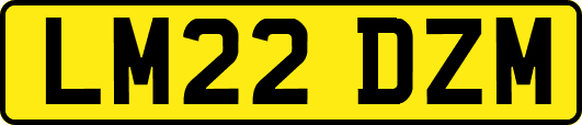 LM22DZM