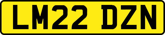LM22DZN