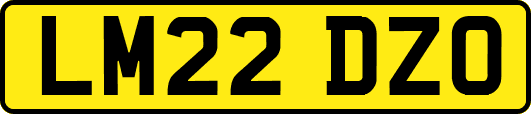 LM22DZO