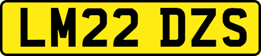 LM22DZS