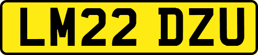 LM22DZU