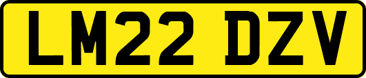 LM22DZV