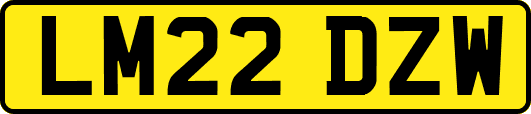 LM22DZW