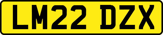 LM22DZX